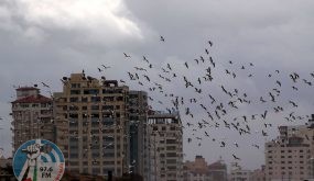 حالة الطقس: أجواء معتدله والحرارة أقل من معدلها السنوي بدرجات قليله