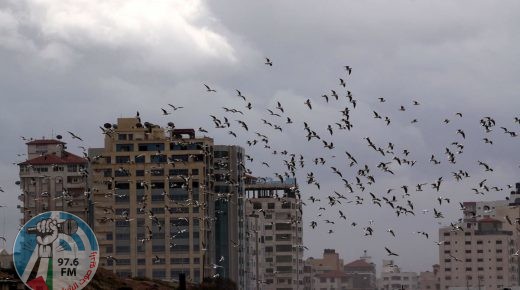 حالة الطقس: أجواء معتدله والحرارة أقل من معدلها السنوي بدرجات قليله