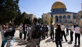 مئات المستوطنين يقتحمون المسجد الأقصى بحماية شرطة الاحتلال الإسرائيلي
