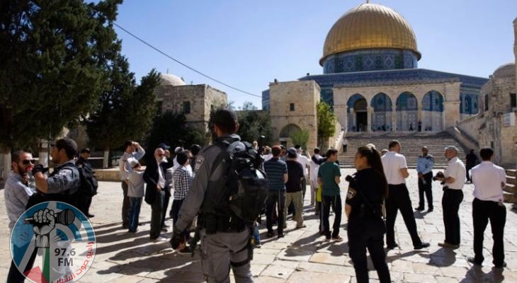 مئات المستوطنين يقتحمون المسجد الأقصى بحماية شرطة الاحتلال الإسرائيلي