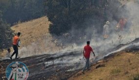 النجاح بإخماد جميع الحرائق في ولاية تيزي وزو الجزائرية