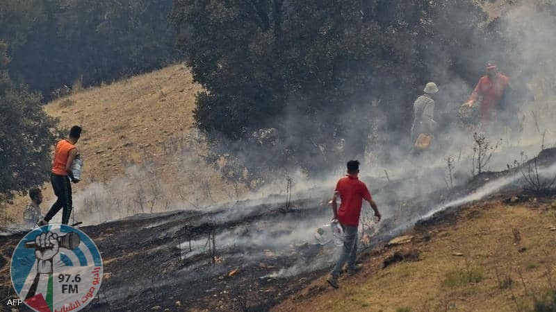 النجاح بإخماد جميع الحرائق في ولاية تيزي وزو الجزائرية