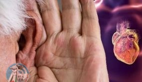شكل شحمة الأذن علامة تحذير رئيسية للإصابة بأمراض القلب