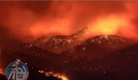 اندلاع حرائق ضخمة في 14 ولاية جزائرية