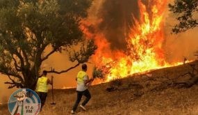 لابيد يعلن استغناء إسرائيل عن مساعدتها دوليًا لإخماد الحرائق