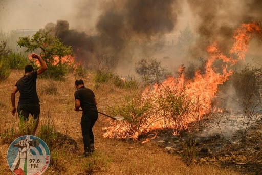 تركيا: السيطرة على 209 حرائق في 47 ولاية خلال الـ10 أيام الأخيرة