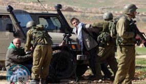 بيان مشترك لمؤسسات أميركية يطالب بايدن بتبني مطالب فلسطينية ووقف انتهاكات الاحتلال