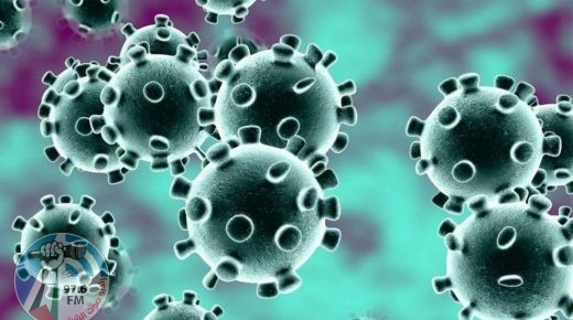 17 وفاة و1703 إصابات جديدة بفيروس “كورونا” و2112 حالة تعافٍ