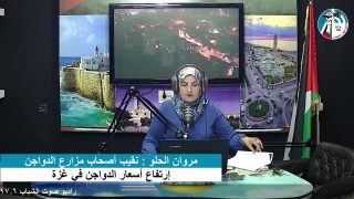 غزة بلدنا – إرتفاع أسعار الدواجن في غزة