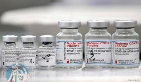 FILE PHOTO: Vials of coronavirus disease (COVID-19) vaccines of Pfizer-BioNTech and Moderna are seen in the town of Ricany near Prague, Czech Republic, February 25, 2021. REUTERS/David W Cerny/File Photo