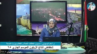 غزة بلدنا – إنخفاض إنتاج الزيتون للموسم الجاري 65%