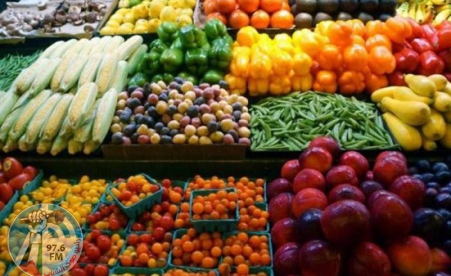 الاحصاء: ارتفاع أسعار المنتج بنسبة 0.65% خلال آب
