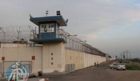 نادي الأسير: توتر في سجن “عسقلان” بعد اعتداء سجناء جنائيين إسرائيليين على الأسرى