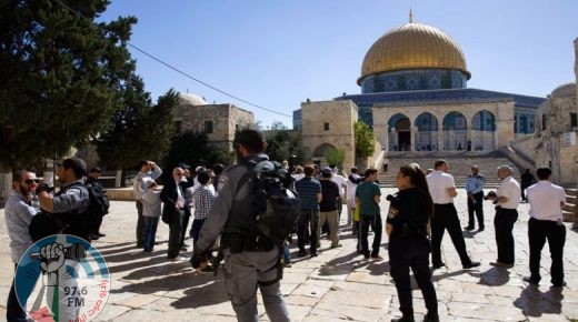 بحماية شرطة الاحتلال… عشرات المستوطنين يقتحمون المسجد الأقصى