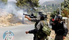 الاحتلال يصيب شابا ويعتقله في بلدة عزون شرق قلقيلية
