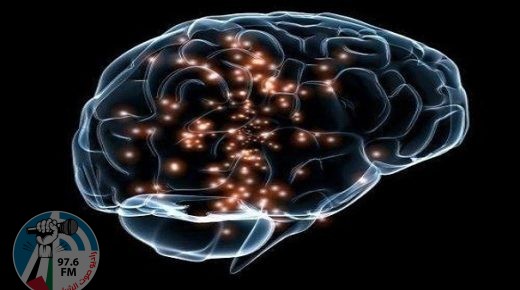 الدماغ يستخدم آلية فريدة تجعل التحدث بأكثر من لغة أمراً تلقائياً