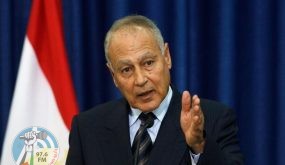 أبو الغيط: يجب أن تبقى القضية الفلسطينية في الأولوية رغم أزمات المنطقة
