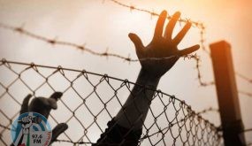 أربعة أسرى يواصلون إضرابهم عن الطعام