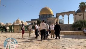 “الخارجية” تحذر من خطورة دعوات إدراج “الأقصى” في برنامج زيارات طلبة المدارس الإسرائيلية
