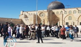 توصية إسرائيليّة بإدراج “الأقصى” ضمن برنامج الرحلات لمدارس الاحتلال
