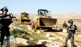 الاحتلال يجرف 3 دونمات ويقتلع 120 شجرة مثمرة ويهدم بئر مياه جنوب الخليل