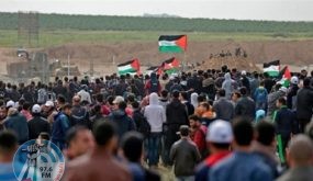 الإحصاء: 14 مليون فلسطينيّ مع نهاية عام 2021