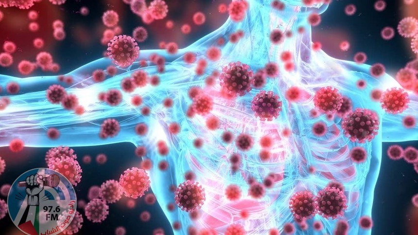 دراسة تكشف عن تحوّل يساعد متحوّر ألفا في الهرب من جهاز المناعة الفطري!