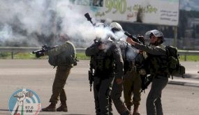 عشرات الإصابات في اقتحام الاحتلال لمدرسة تقوع الثانويّة شرق بيت لحم