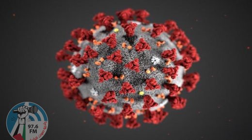 الصحة : 5 وفيات و402 إصابة جديدة بفيروس كورونا و191 حالة تعافٍ خلال الـ24 ساعة الأخيرة