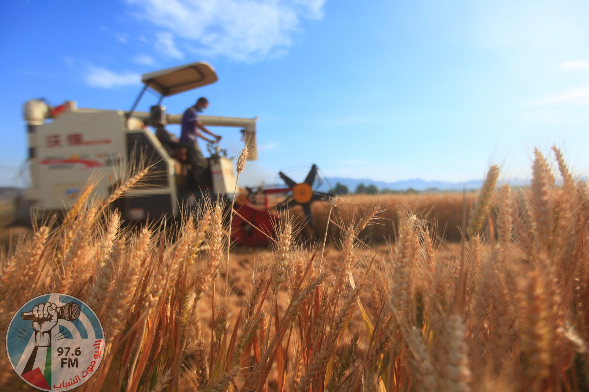 (211206) -- LINYI, Dec. 6, 2021 (Xinhua) -- A farmer harvests wheat in Pingyi County, Linyi City, east China's Shandong Province, June 8, 2021. China secured yet another bumper harvest this year, with grain output up 2 percent year on year, the National Bureau of Statistics (NBS) said Monday. China's grain output reached nearly 683 billion kg in 2021, up 13.4 billion kg from last year. This is the seventh consecutive year that the country's total grain production has exceeded 650 billion kg. (Photo by Wu Jiquan/Xinhua)