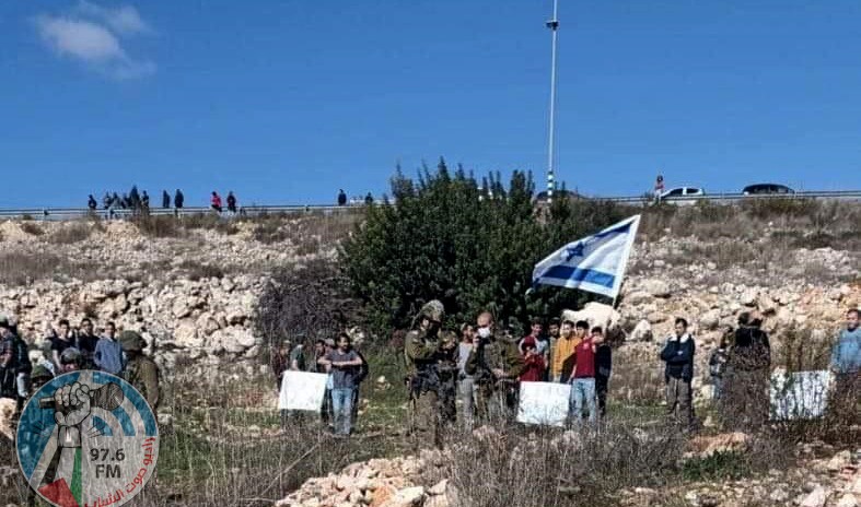 مستوطنون يستولون على 4 دونمات من أراضي كفر الديك غرب سلفيت