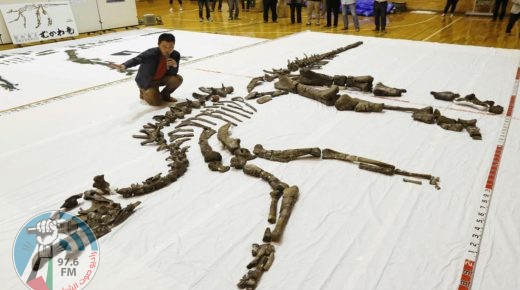اكتشاف أكبر هيكل عظمي تام في بريطانيا لـ”تنين البحر” عمره نحو 180 مليون سنة