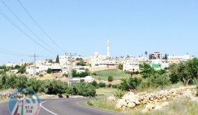 “مقاومة الجدار” تبتطل قرار بإخلاء أراض في جينصافوط شرق قلقيلية