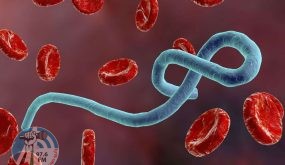 العثور على الفيروس القاتل في أدمغة المتعافين من حمى إيبولا