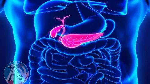 فلسطينية تحصل على براءة اختراع لعلاج سرطان البنكرياس في إسبانيا