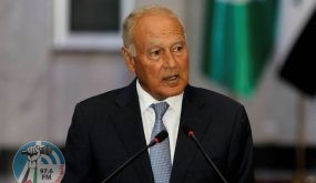 أبو الغيط: من الضروري التوصل إلى توافق سياسي ليبي