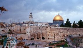 عودة: عصابات المستوطنين تسابق الزمن لإنهاء الوجود الفلسطيني في القدس