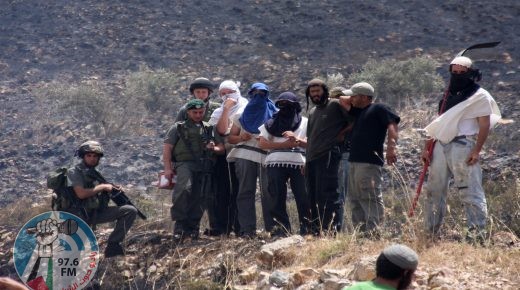 “هآرتس”: نسبة قليلة جدا من جرائم المستوطنين ضد الفلسطينيين قدمت فيها لوائح اتهام