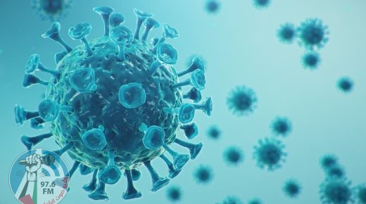 “الصحة”: 6 وفيات و7934 إصابة جديدة بفيروس كورونا خلال الـ24 ساعة الأخيرة