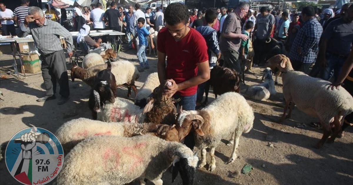 إغلاق أسواق المواشي في الضفة لمدة شهر بسبب انتشار الحُمّى القلاعية