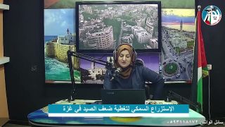 غزة بلدنا – الإستزراع السمكي لتغطية ضعف الصيد في غزة