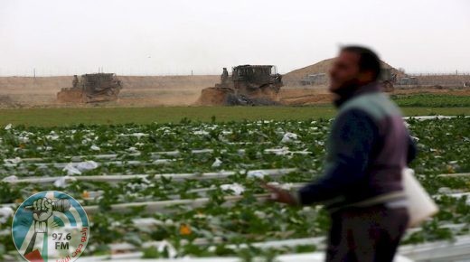 طائرة إسرائيلية ترش مبيدات سامة على المزروعات شرق دير البلح
