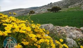 اجواء ربيعية وارتفاع على درجات الحرارة