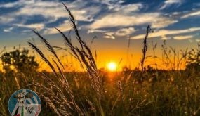 أجواء شديدة الحرارة وجافة ومغبرة