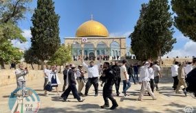 اقتحامات للأقصى وهدم 4 منازل بالضفة والقدس
