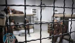 8 معتقلين من جنين يدخلون عامهم التاسع في سجون الاحتلال