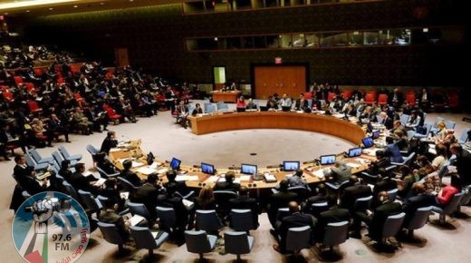 أيرلندا: على مجلس الأمن تمديد قرار إيصال المساعدات لسوريا