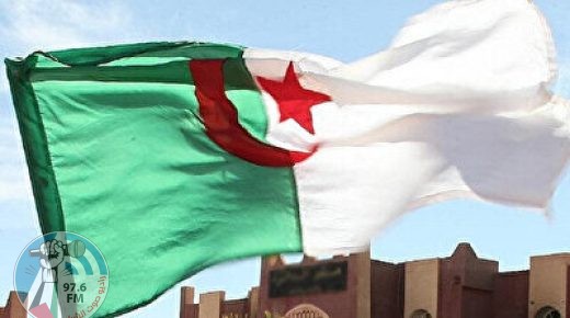 الجزائر.. 15 أكتوبر موعد انتخابات بلدية جزئية مؤجلة منذ نوفمبر