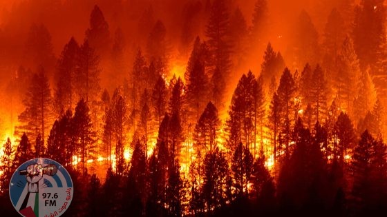الحرائق تلتهم المنازل بمقاطعات كاليفورنيا وتحذير من أمطار غزيرة وفيضانات