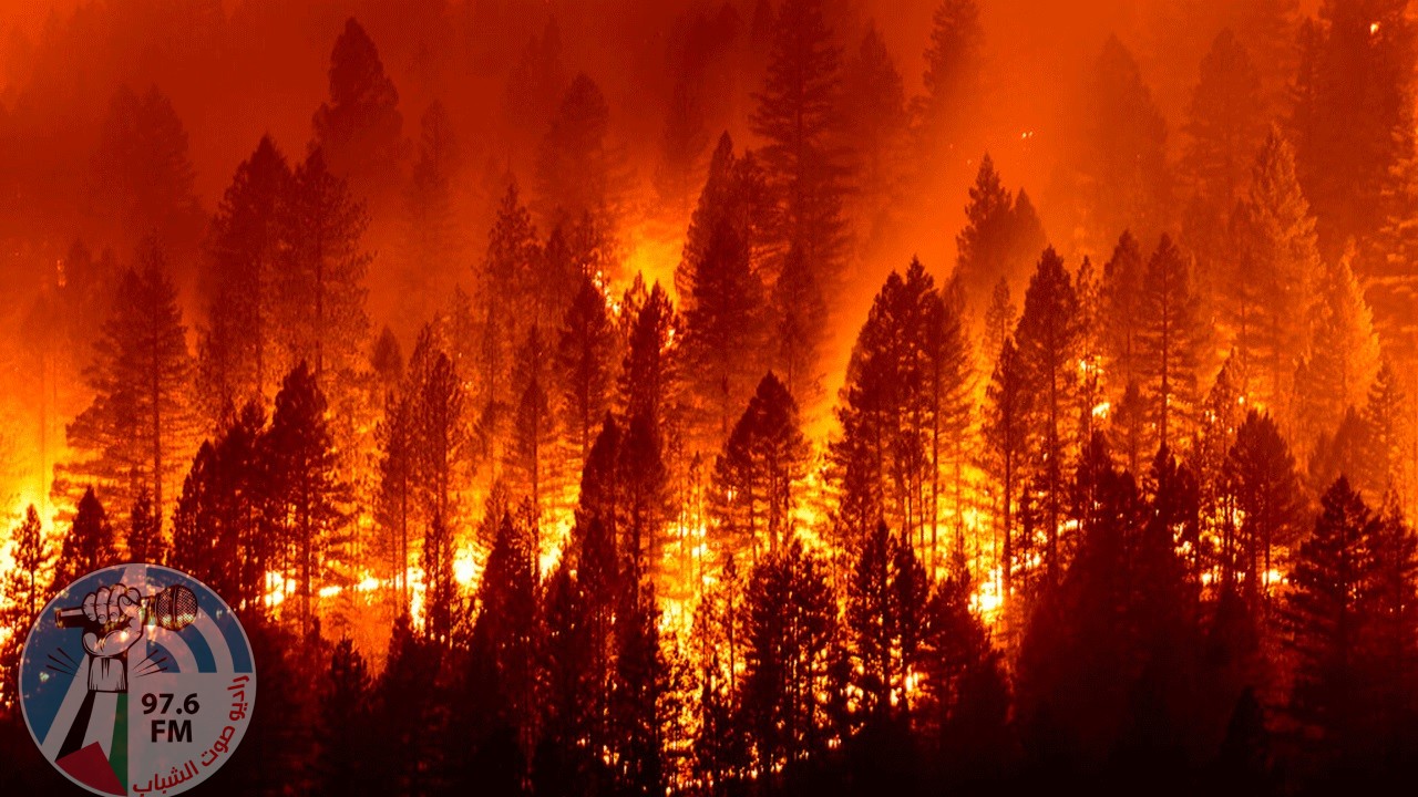 الحرائق تلتهم المنازل بمقاطعات كاليفورنيا وتحذير من أمطار غزيرة وفيضانات